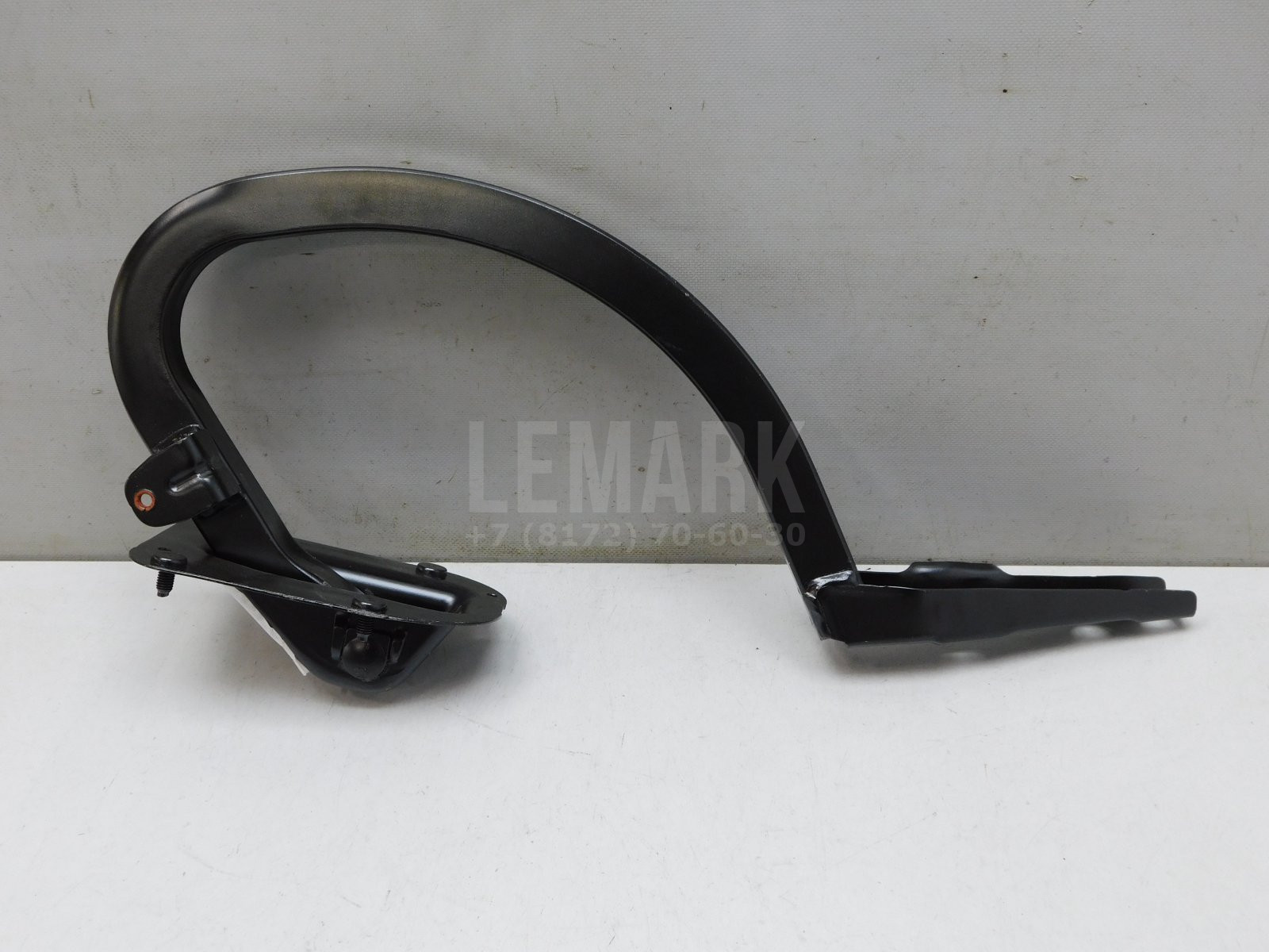 Петля крышки багажника BMW 3-серия F30 2011> BMW 41007420784